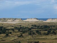 NL, Friesland, Terschelling, Groene Strand 18, Saxifraga-Sytske Dijksen