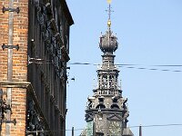 NL, Gelderland, Nijmegen 23, Saxifraga-Foto Fitis-Sytske Dijksen