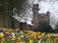 NL, Gelderland, Nijmegen, Valkhof 4, Saxifraga-Foto Fitis-Sytske Dijksen