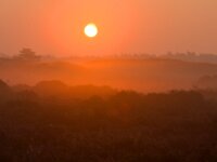 zonsopkomst Hulshorsterzand  zonsopkomst Hulshorsterzand om 7.30u : landschapsfotografie