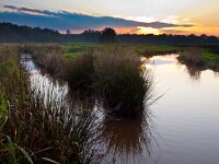 fork in creek  Branch in natural creek in rural setting : Fork, Netherlands, Vork, aftakken, aftakking, agrarische, agricultural, agriculture, aparte, beek, beekdal, blauw, blue, boom, bossen, branch, country, countryside, creative nature, creek, dageraad, dawn, delen, divide, dusk, field, flowing, geel, gras, grass, green, groen, groningen, holland, kreek, laagland, land, landbouw, landelijk, landscape, landschap, lowland, lucht, mirror, nature, natuur, nederland, orange, oranje, platteland, reflectie, reflection, river, rivier, rudmer zwerver, ruiten aa, rural, schemering, seperate, serene, sky, spiegel, split, splitsen, splitsing, stream, stroom, summer, sunrise, sunset, tak, tree, veld, vertakking, vloeiend, water, woods, yellow, zomer, zonsondergang, zonsopgang