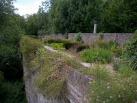 NL, Limburg, Maastricht 3, Saxifraga-Foto Fitis-Sytske Dijksen