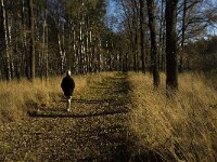 NL, Limburg, Nederweert, Middelste Hout 10, Saxifraga-Jan van der Straaten