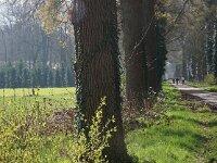 NL, Utrecht, De Bilt, Eykenstein 1, Saxifraga-Foto Fitis-Sytske Dijksen