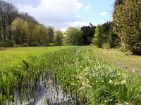NL, Utrecht, De Bilt, Landgoed Sandwijck 1, Saxifraga-Foto Fitis-Sytske Dijksen