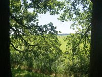 NL, Utrecht, Utrechtse Heuvelrug, Amerongen 3, Saxifraga-Foto Fitis-Sytske Dijksen
