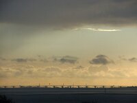 NL, Zeeland, Schouwen-Duiveland, Zeelandbrug 5, Saxifraga-Foto Fitis-Sytske Dijksen