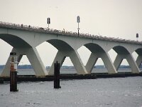 NL, Zeeland, Schouwen-Duiveland, Zeelandbrug 7, Saxifraga-Foto Fitis-Sytske Dijksen