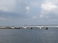 NL, Zuid-Holland, Dordrecht, Moerdijkbrug 10, Saxifraga-Willem van Kruijsbergen