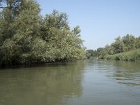 NL, Zuid-Holland, Dordrecht, Moldiep 4, Saxifraga-Willem van Kruijsbergen