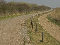 NL, Zuid-Holland, Goeree-Overflakkee, Dirksland, Slikken van Flakkee 6, Saxifraga-Jan van der Straaten