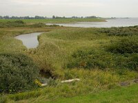 NL, Zuid-Holland, Goeree-Overflakkee, Preekhilpolder 9, Foto Fitis-Sytske Dijksen