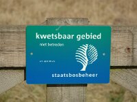 NL, Zuid-Holland, Hoeksche Waard, Strijen, Polder Het Oudeland van Strijen 2, Saxifraga-Jan van der Straaten