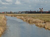 NL, Zuid-Holland, Hoeksche Waard, Strijen, Polder Het Oudeland van Strijen 5, Saxifraga-Jan van der Straaten