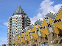 NL, Zuid-Holland, Rotterdam 55, Saxifraga-Foto Fitis-Sytske Dijksen