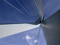 NL, Zuid-Holland, Rotterdam, Erasmusbrug 5, Saxifraga-Foto Fitis-Sytske Dijksen