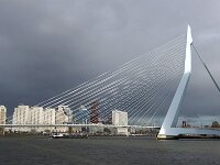 NL, Zuid-Holland, Rotterdam, Erasmusbrug 6, Saxifraga-Foto Fitis-Sytske Dijksen