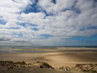 NL, Zuid-Holland, Voorne aan Zee, Oostvoorne, Westplaat 2, Saxifraga-Bart Vastenhouw