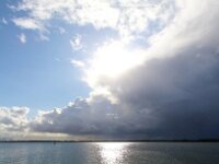 NL, Zuid-Holland, Voorne aan Zee, Westvoorne, Oostvoornse Meer 1, Saxifraga-Bart Vastenhouw