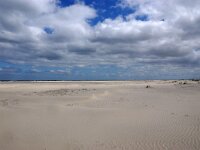 NL, Friesland, Schiermonnikoog, Noorderstrand 1, Saxifraga-Foto Fitis-Sytske Dijksen