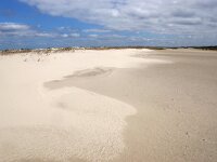 NL, Friesland, Schiermonnikoog, Noorderstrand 2, Saxifraga-Foto Fitis-Sytske Dijksen