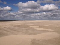 NL, Noord-Holland, Texel, De Hors 162, Saxifraga-Foto Fitis-Sytske Dijksen