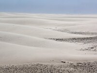 NL, Noord-Holland, Texel, Noorderhaaks 13, Saxifraga-Foto Fitis-Sytske Dijksen