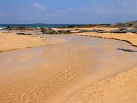 GB, Cornwall, Padstow, SW Coastpath, Trevone Head 2, Saxifraga-Foto Fitis-Sytske Dijksen