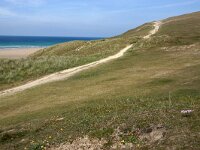 GB, Cornwall, Perranporth, Perran Sands 5, Saxifraga-Foto Fitis- Sytske Dijksen
