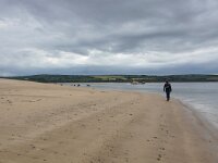 GB, Cornwall, St Minver, Rock 17, Saxifraga-Foto Fitis- Sytske Dijksen