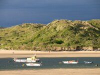 GB, Cornwall, St Minver, Rock 4, Saxifraga-Foto Fitis- Sytske Dijksen