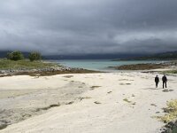 N, Troms, Tromso, Sommaroy 12, Saxifraga-Willem van Kruijsbergen