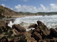 P, Faro, Aljezur, Carrapateira, Praia do Amado 27, Saxifraga-Willem van Kruijsbergen