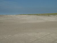 NL, Zuid-Holland, Westland, Ter Heijde 14, Saxifraga-Willem van Kruijsbergen