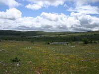 F, Lozere, Hures-la-Parade, Le-Buffre 5, Saxifraga-Dirk Hilbers