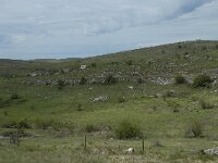 F, Lozere, Hures-la-Parade, le Villaret 1, Saxifraga-Willem van Kruijsbergen