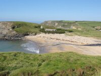 GB, Cornwall, Helston, SW Coastpath, Lizard 5, Saxifraga-Foto Fitis-Sytske Dijksen