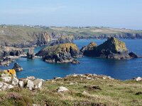 GB, Cornwall, Helston, SW Coastpath, Lizard 6, Saxifraga-Foto Fitis-Sytske Dijksen