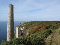GB, Cornwall, Marazion, SW Coastpath, Michaels Mount 11, Saxifraga-Foto Fitis-Sytske Dijksen