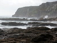 GB, Cornwall, Marazion, SW Coastpath, Michaels Mount 7, Saxifraga-Foto Fitis-Sytske Dijksen