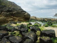 GB, Cornwall, Penzance, SW Coastpath, Sennen Cove-Porthgwarra, Mill Bay 1, Saxifraga-Foto Fitis-Sytske Dijksen