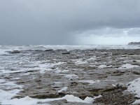 F, Pas-de-Calais, Ambleteuse 37, Saxifraga-Willem van Kruijsbergen