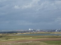 F, Pas-de-Calais, Sangatte, Cap Blanc Nez 11, Saxifraga-Willem van Kruijsbergen