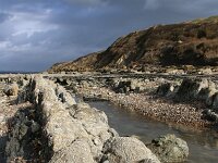 F, Pas-de-Calais, Audinghen, Cap Gris Nez 14, Saxifraga-Foto Fitis-Sytske Dijksen