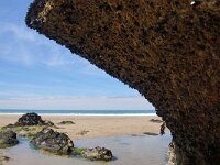 GB, Cornwall, Porthtowan 7, Saxifraga-Foto Fitis- Sytske Dijksen