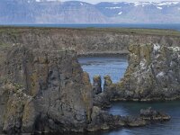 IS, Nordurland eystra, Langanesbyggd, Langanes 4, Saxifraga-Peter Stein