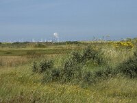 NL, Zuid-Holland, Goeree-Overflakkee, Kwade Hoek 18, Saxifraga-Willem van Kruijsbergen