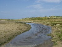 NL, Zuid-Holland, Goeree-Overflakkee, Kwade Hoek 20, Saxifraga-Willem van Kruijsbergen