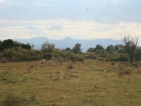 GR, Anatoliki Makedonia kai Thraki,Lasmos, Nestos Delta 39, Saxifraga-Dirk Hilbers