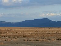 GR, Evros, Evros Delta 7, Saxifraga-Dirk Hilbers